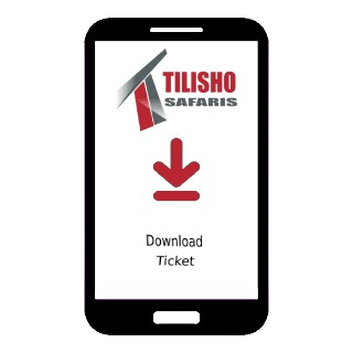 Download Ticket